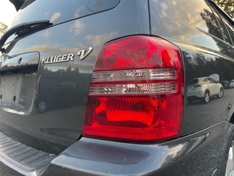 KLUGER V