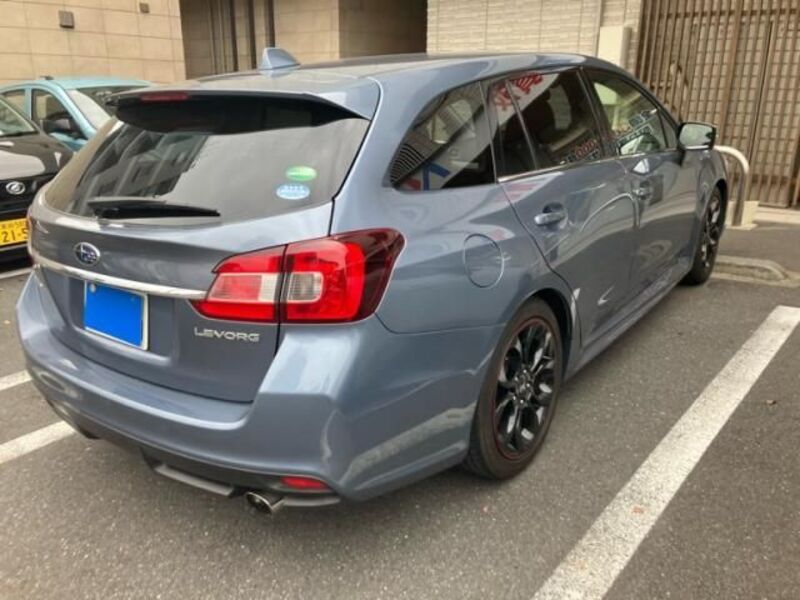 LEVORG