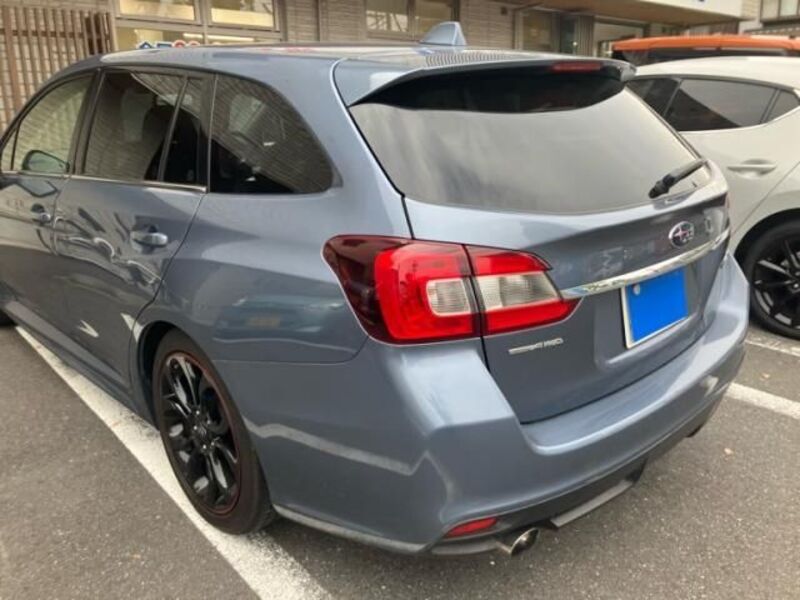 LEVORG