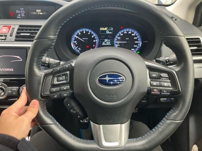 LEVORG
