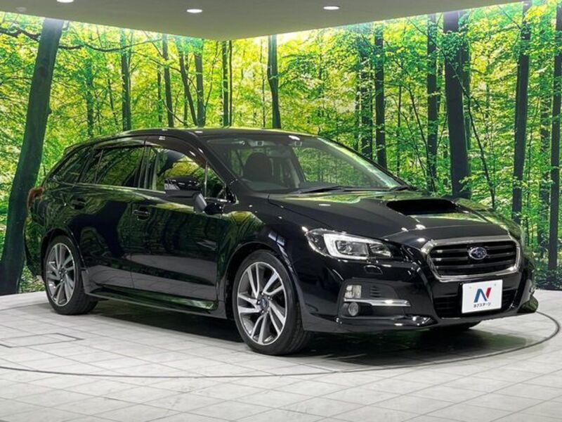 LEVORG