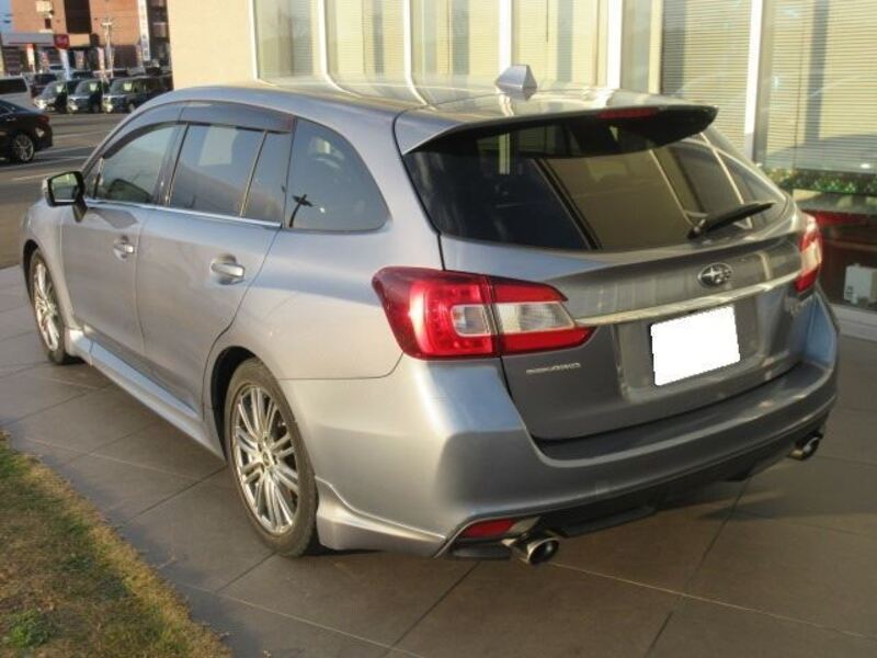 LEVORG