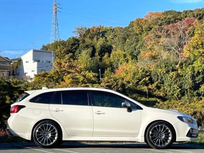 LEVORG