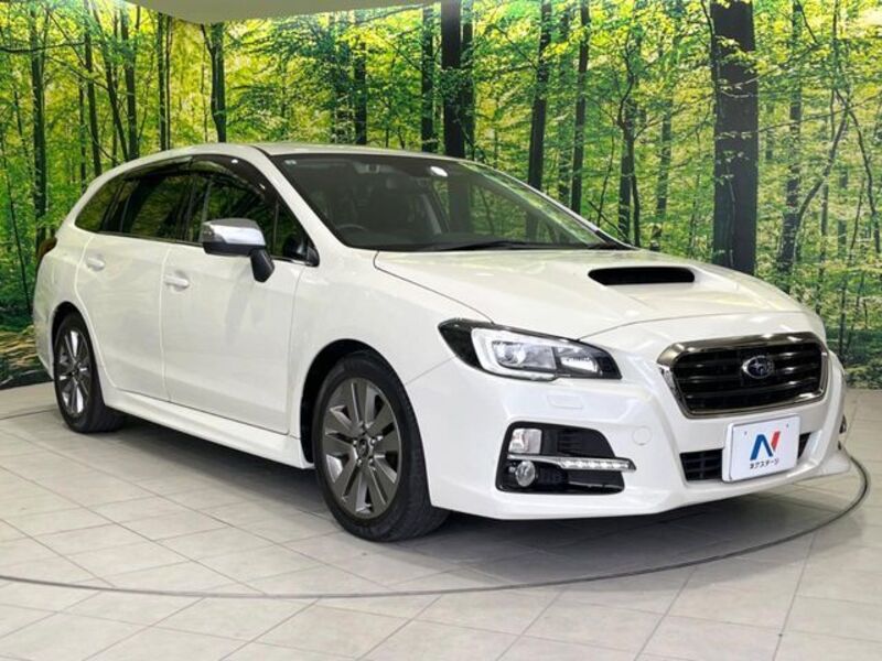 LEVORG