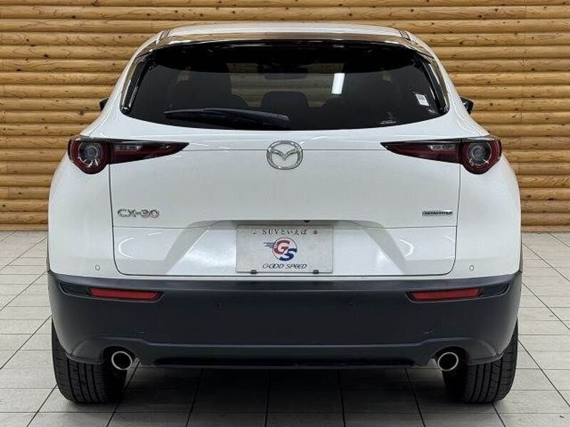 CX-30