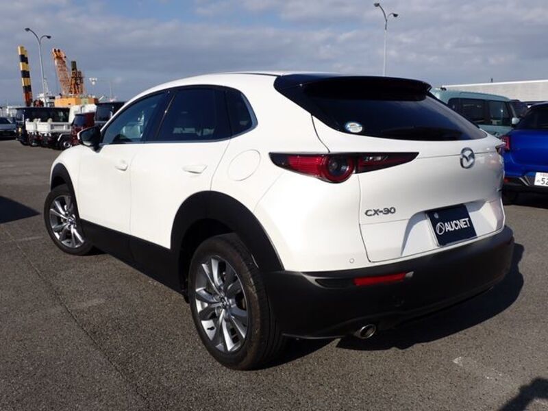 CX-30