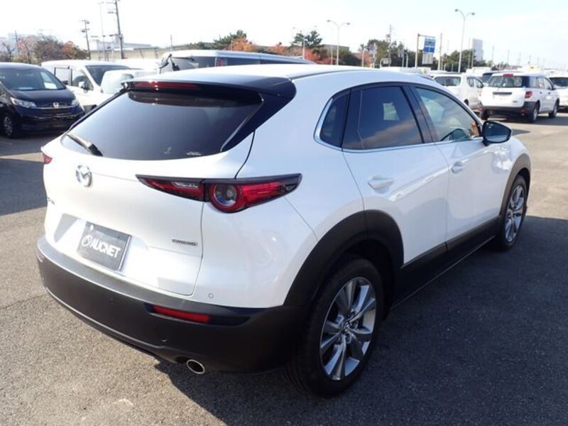 CX-30