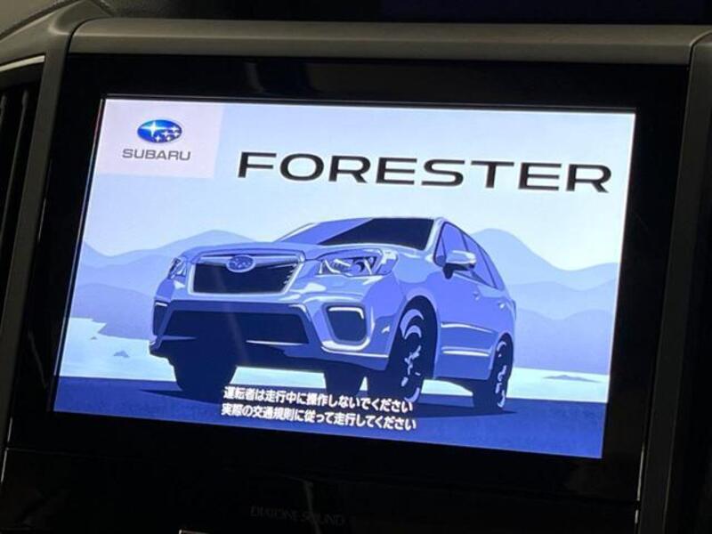 FORESTER