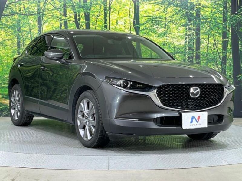 CX-30