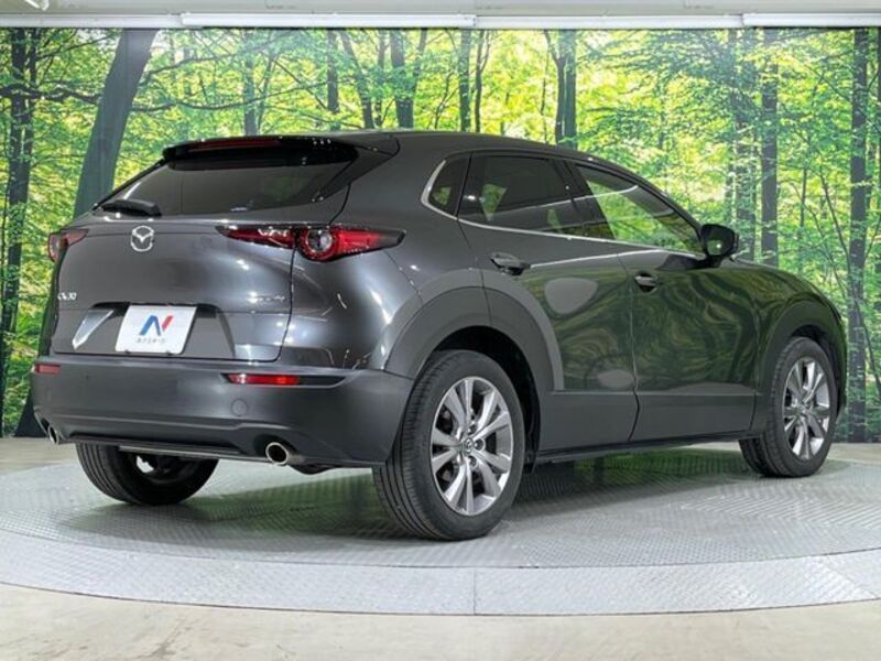 CX-30