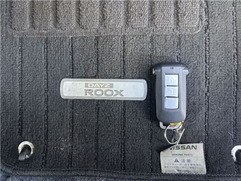 DAYZ ROOX
