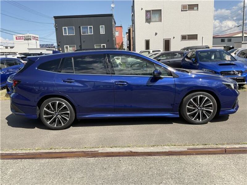 LEVORG