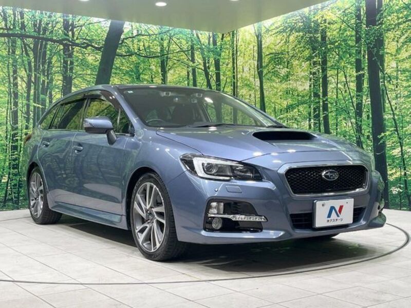 LEVORG