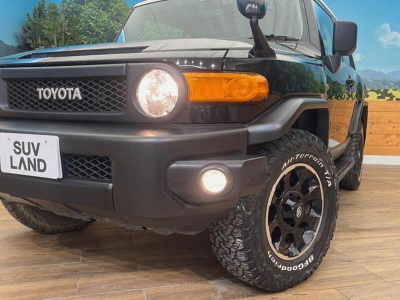 FJ CRUISER