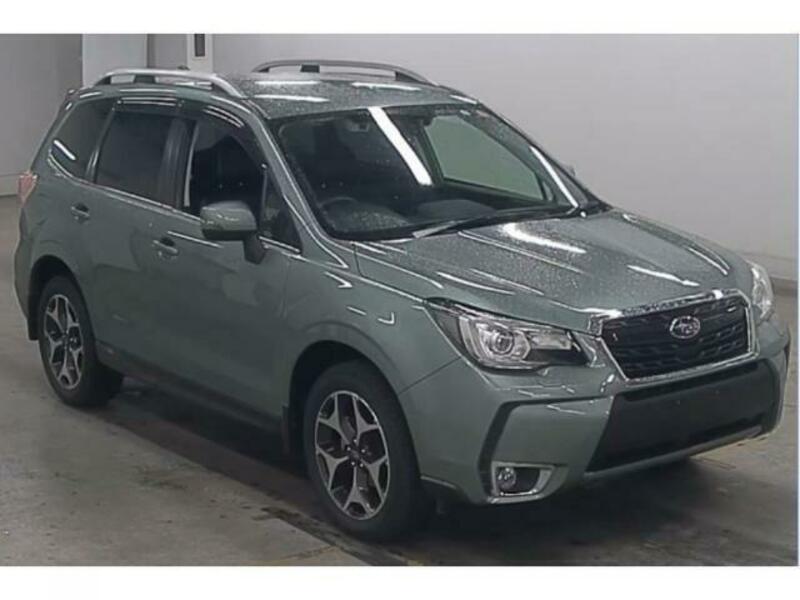 FORESTER