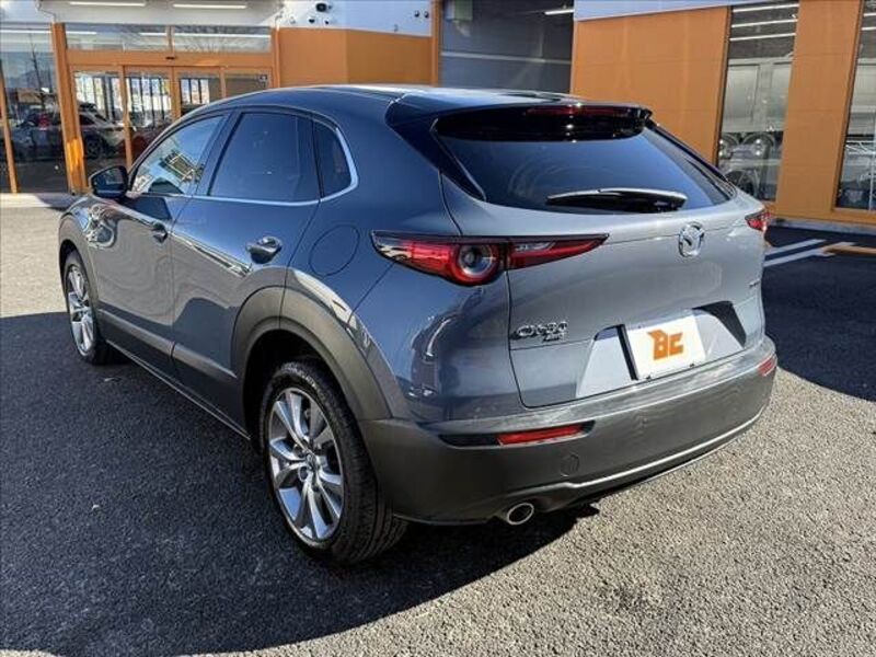 CX-30