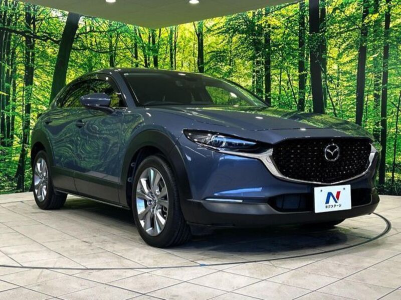 CX-30