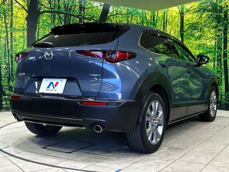 CX-30