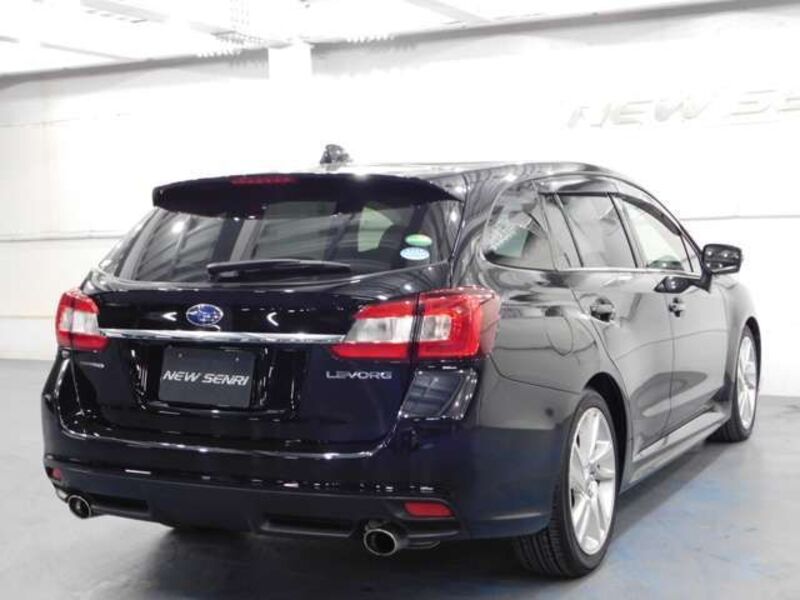 LEVORG