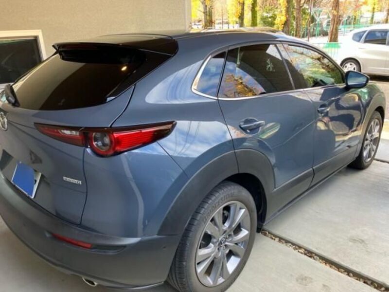 CX-30