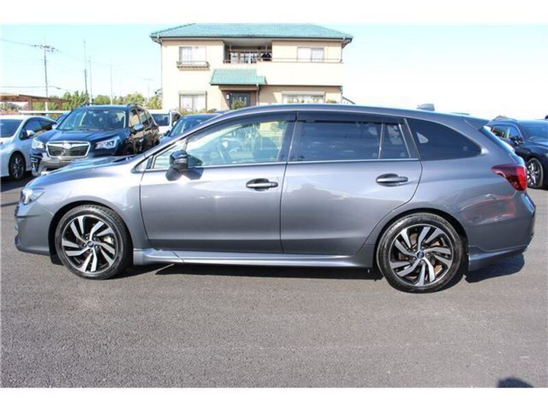 LEVORG