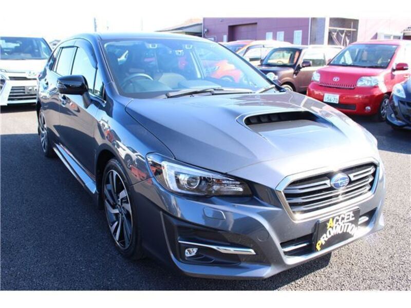 LEVORG