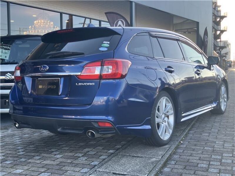 LEVORG