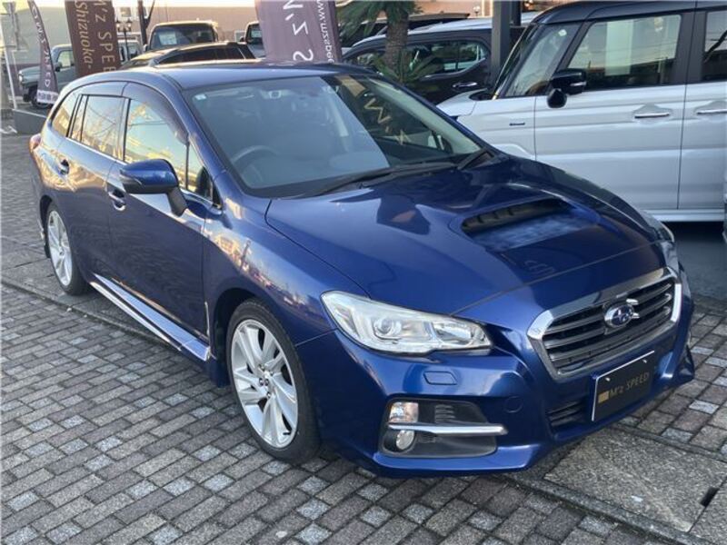 LEVORG