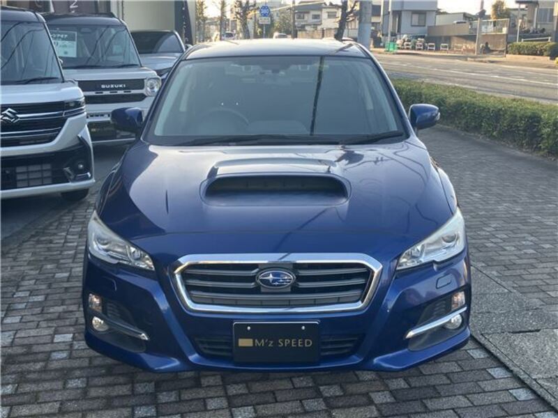 LEVORG