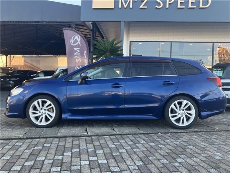 LEVORG