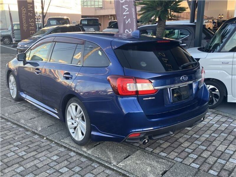 LEVORG