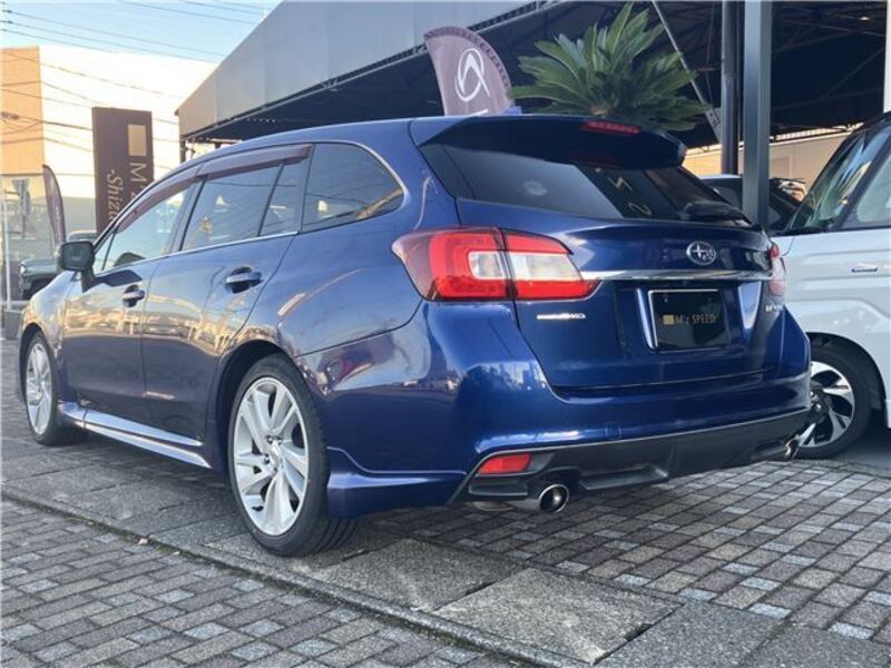 LEVORG
