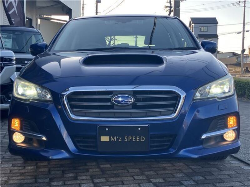 LEVORG