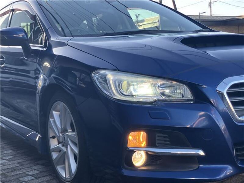 LEVORG
