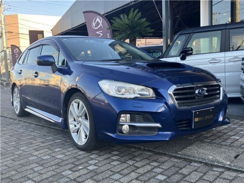LEVORG