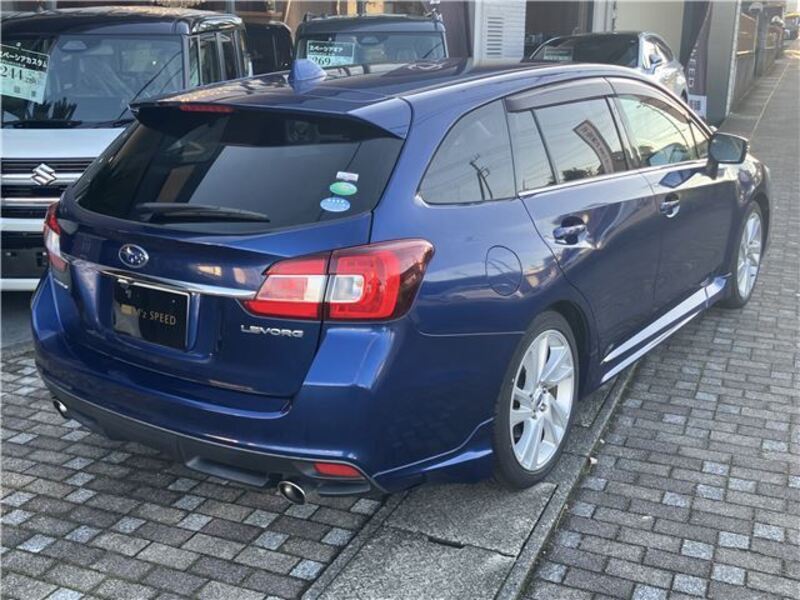 LEVORG