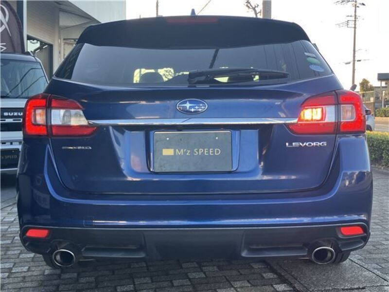 LEVORG