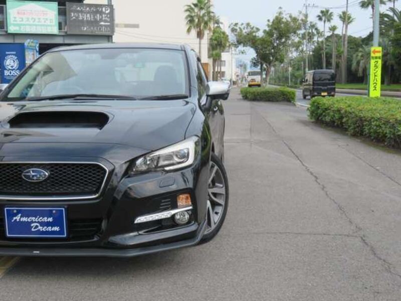 LEVORG