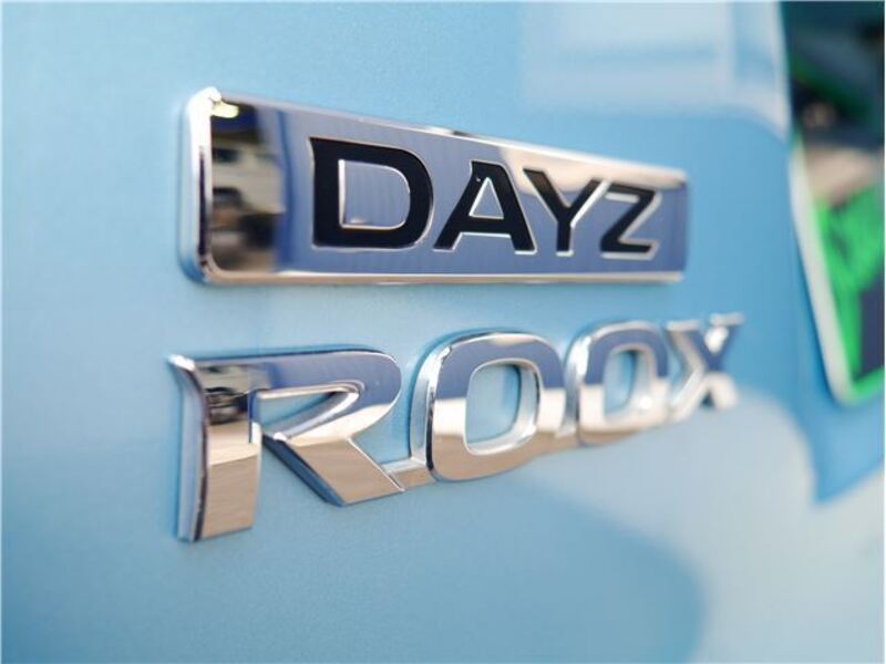 DAYZ ROOX