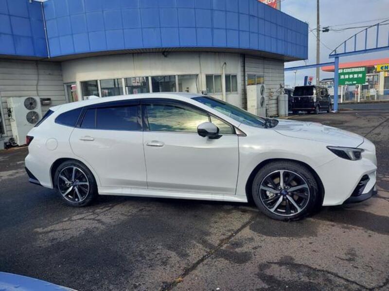 LEVORG