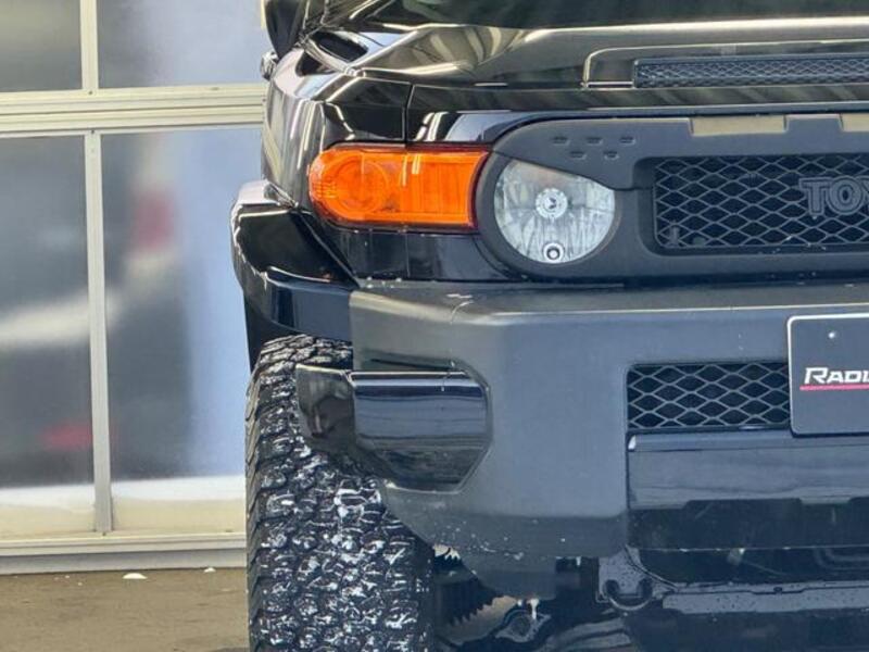 FJ CRUISER