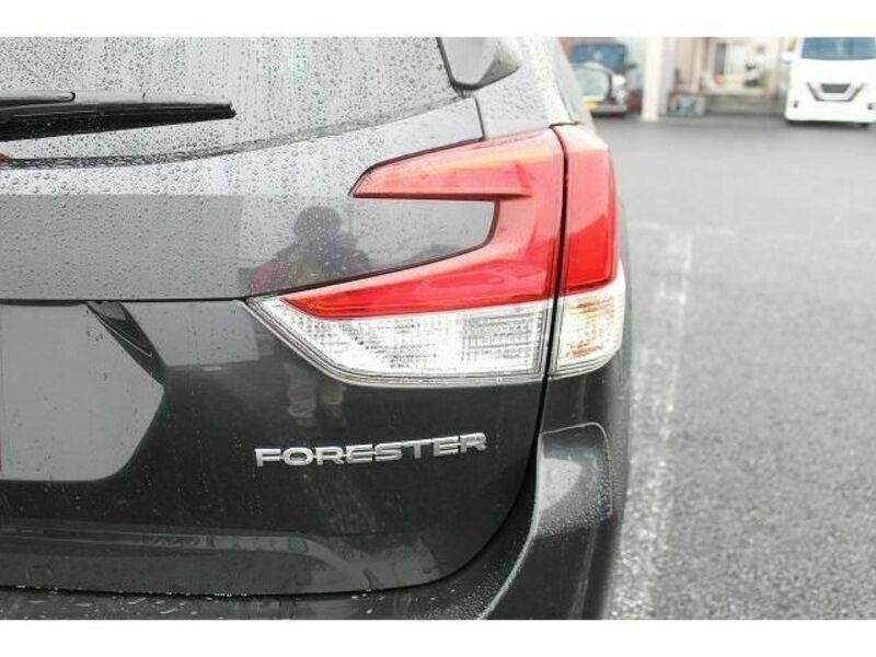 FORESTER-11