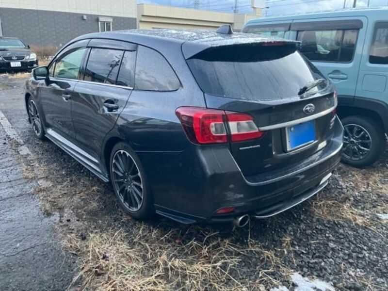 LEVORG