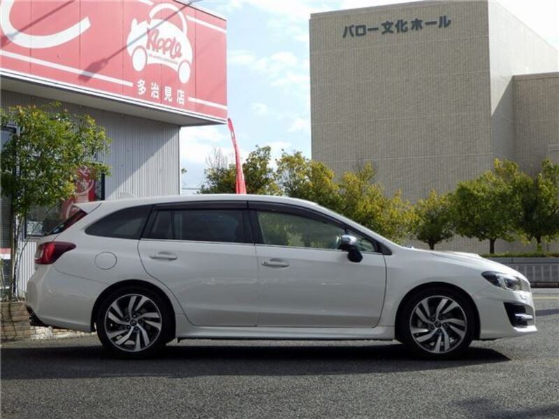 LEVORG