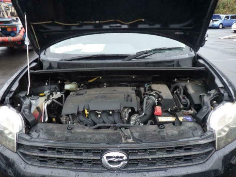 COROLLA RUMION