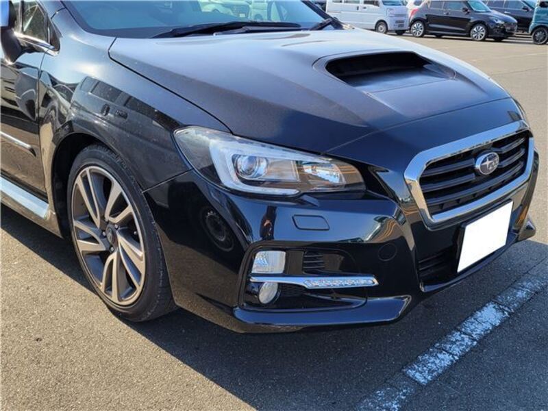 LEVORG