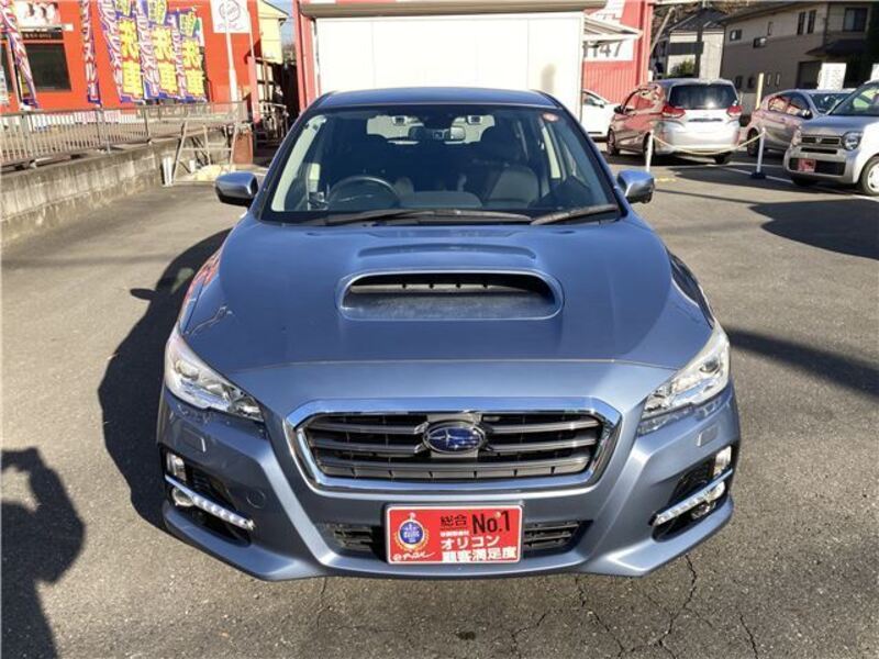 LEVORG