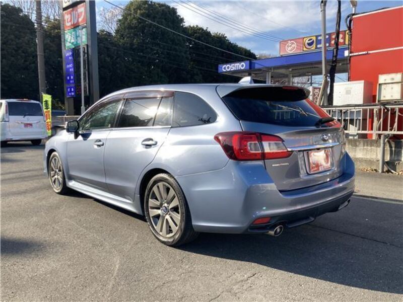 LEVORG