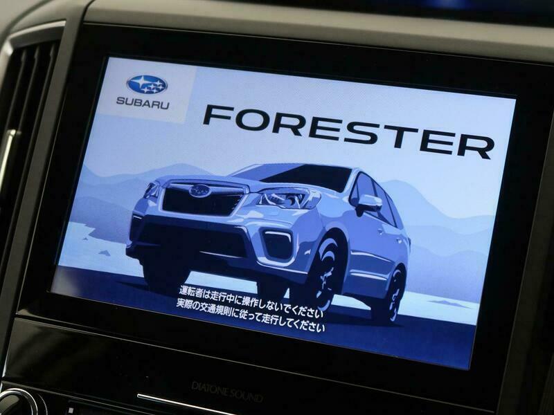 FORESTER