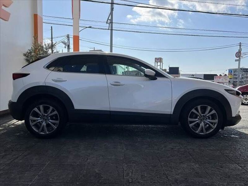 CX-30